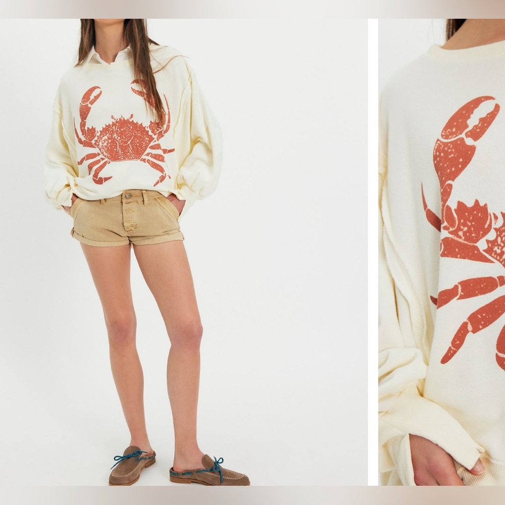 NWT Free People We The Free Graphic Camden Pullover - crab combo - Large - Picture 4 of 10